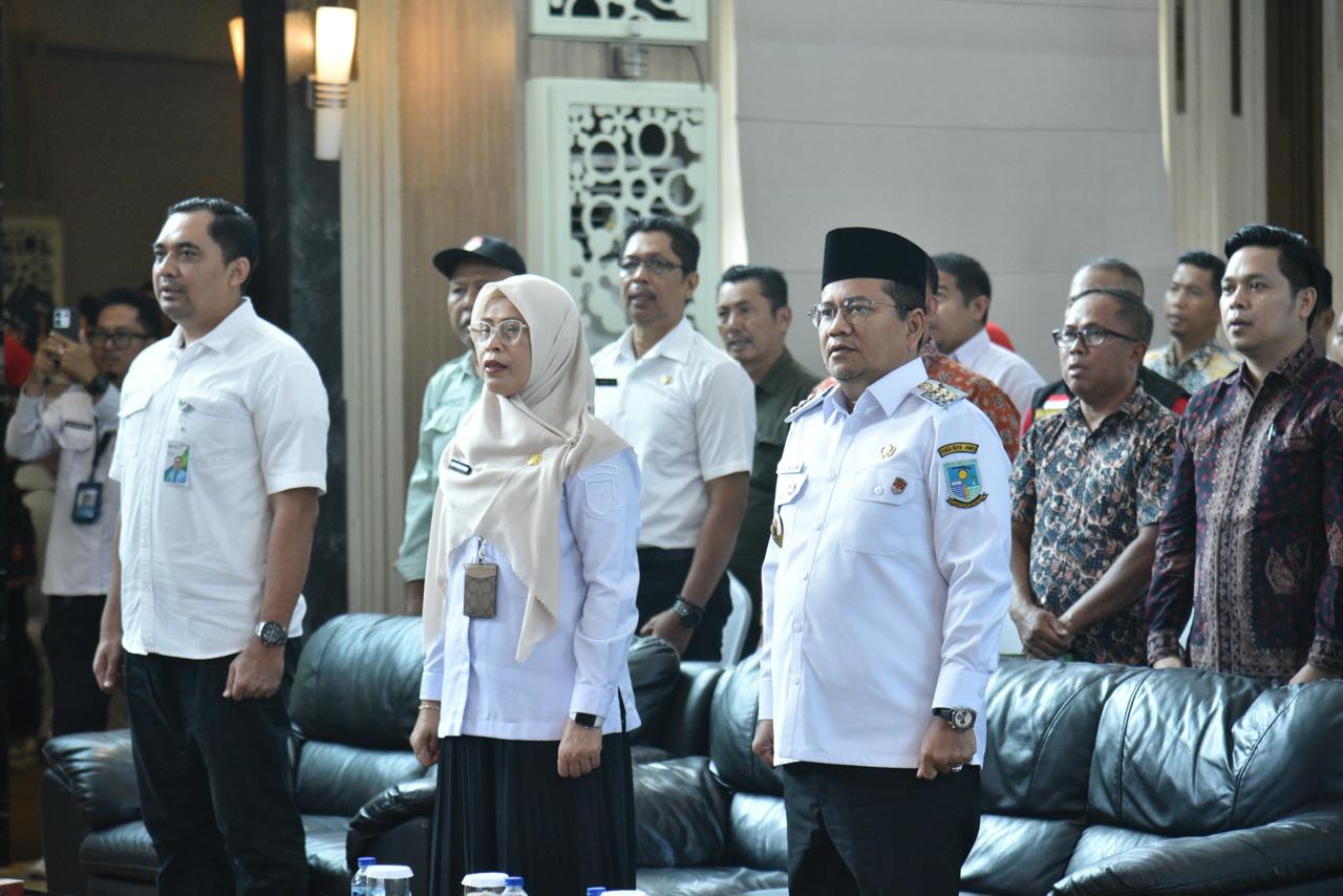 image-content
