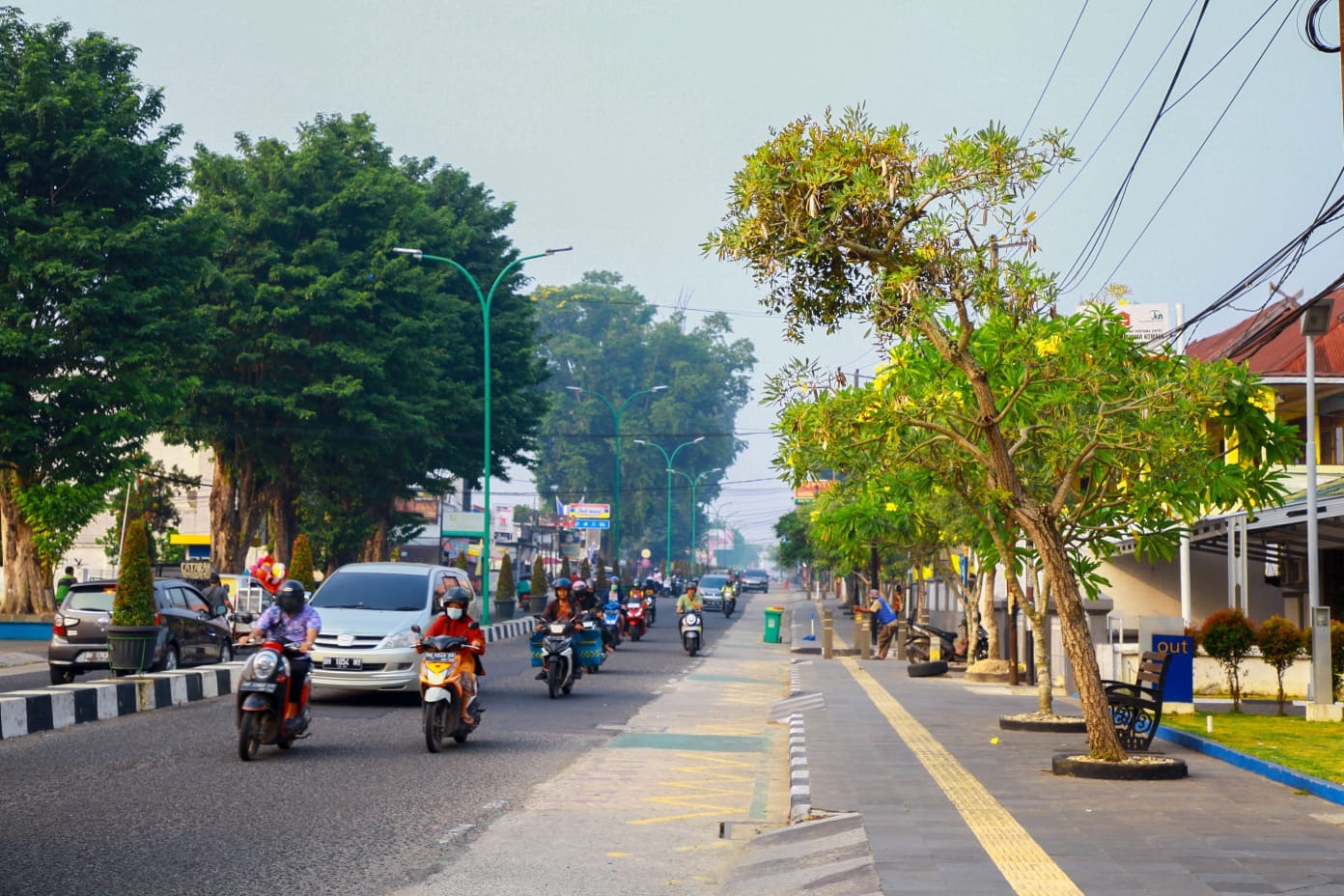 cover Oase Tengah Kota, Pohon Tabebuya Soemantri Merekah Dimusim Kemarau