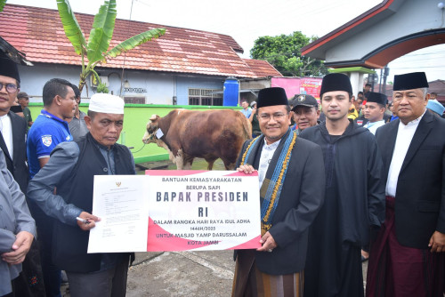 cover Wali Kota Maulana Salurkan Kurban Sapi dari Presiden ke Masjid Darussalam Jambi Timur